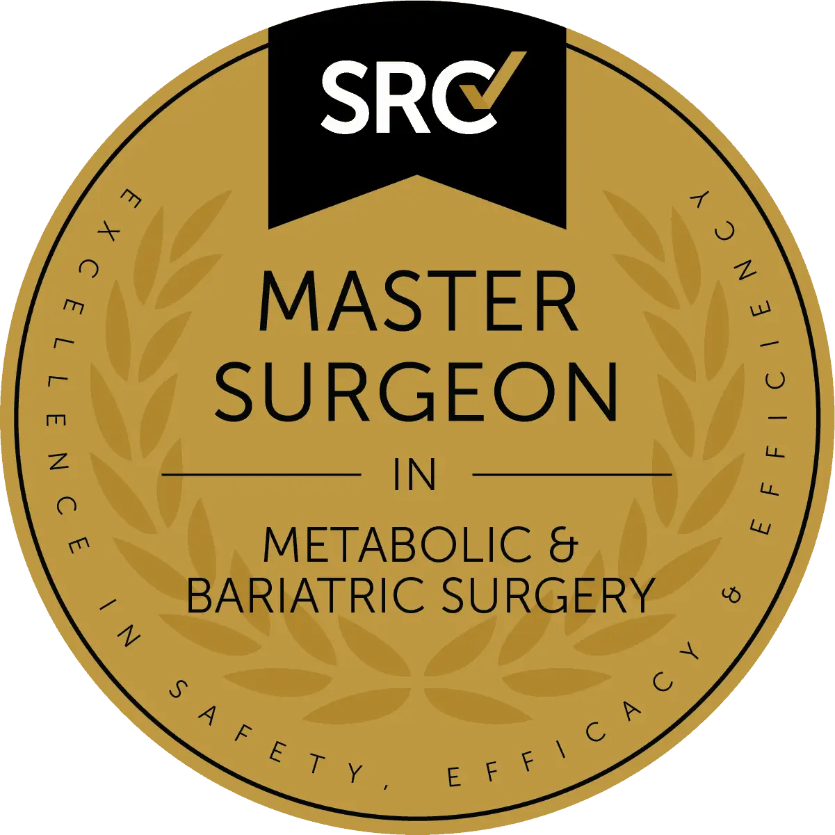 Gold badge with text: "SRC Master Surgeon in Metabolic & Bariatric Surgery. Excellence in safety, efficacy & efficiency.